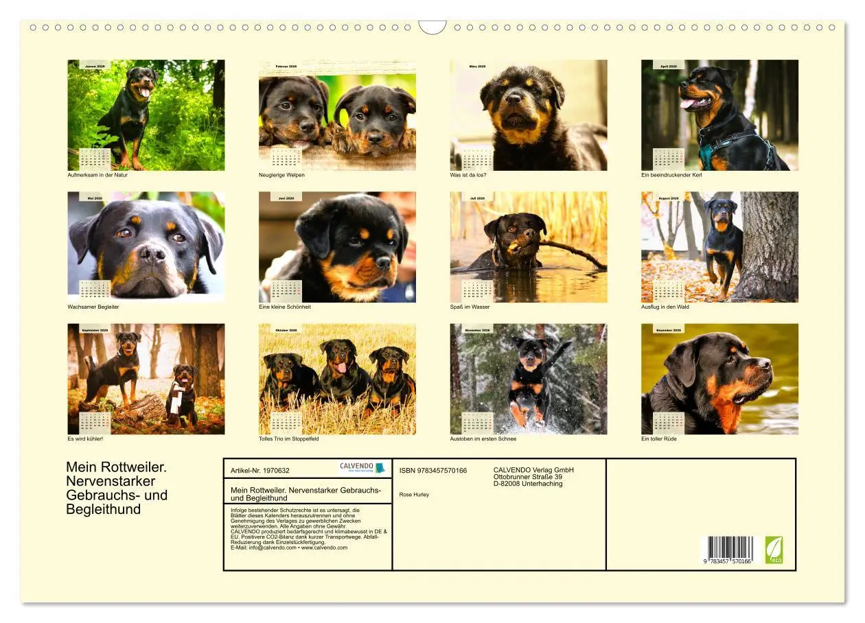 Bild: 9783457570166 | Mein Rottweiler. Nervenstarker Gebrauchs- und Begleithund...