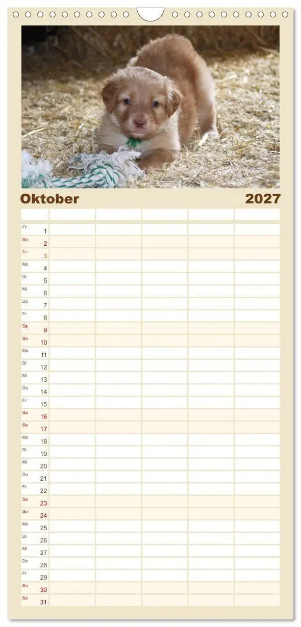 Bild: 9783594330166 | Familienplaner 2027 - Hovawarte - einmal anders mit 5 Spalten...