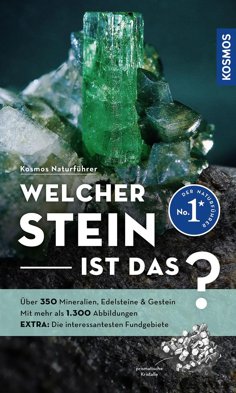Cover: 9783440180266 | Welcher Stein ist das? | Rupert Hochleitner | Taschenbuch | 272 S.
