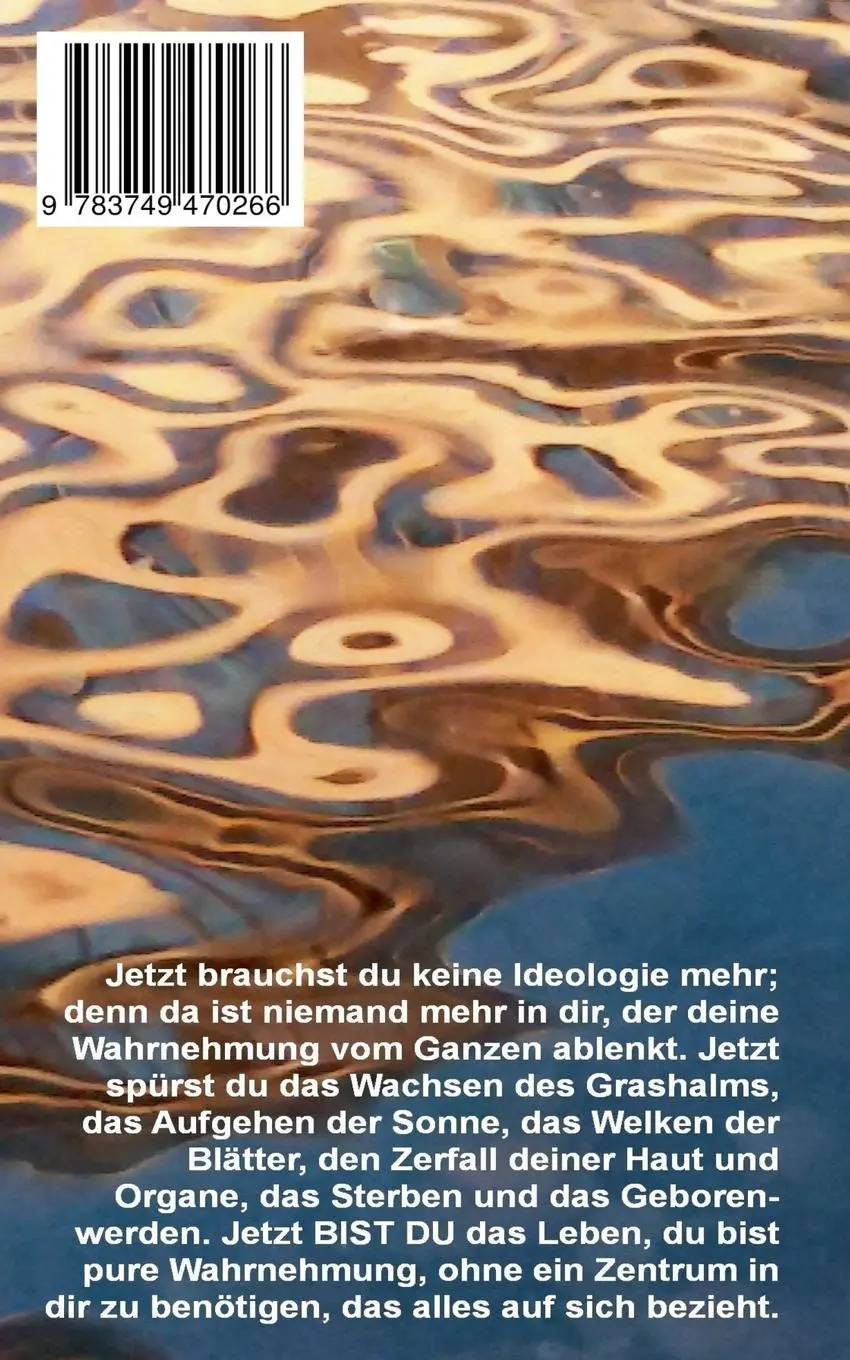 Rückseite: 9783749470266 | Transspirituelles Weltklima | Pier Zellin (u. a.) | Taschenbuch | 2019