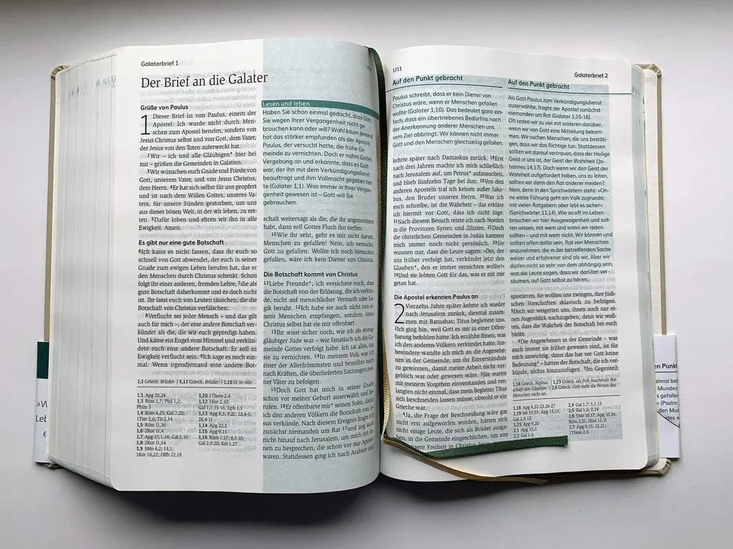 Bild: 9783417020366 | Die Bibel mit Impulsen von Joyce Meyer, Kunstlederausgabe | Meyer