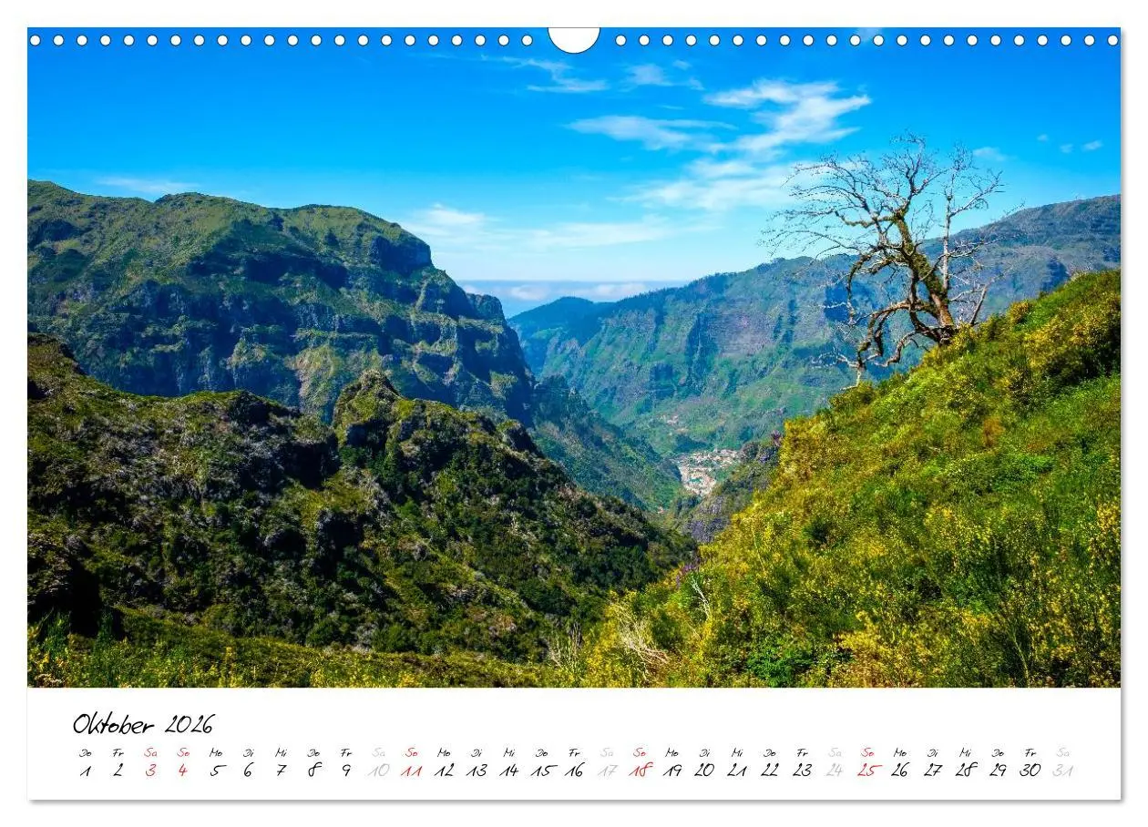 Bild: 9783516020366 | Madeira - ewiger Frühling (Wandkalender 2026 DIN A3 quer), CALVENDO...