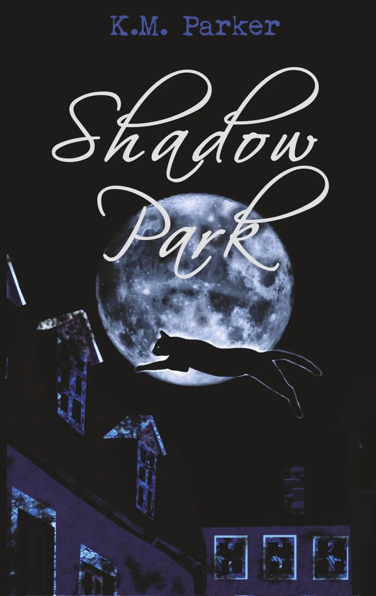Cover: 9783752880366 | Shadow Park 2 | der Ort des Bösen zeigt seine Krallen | K. M. Parker