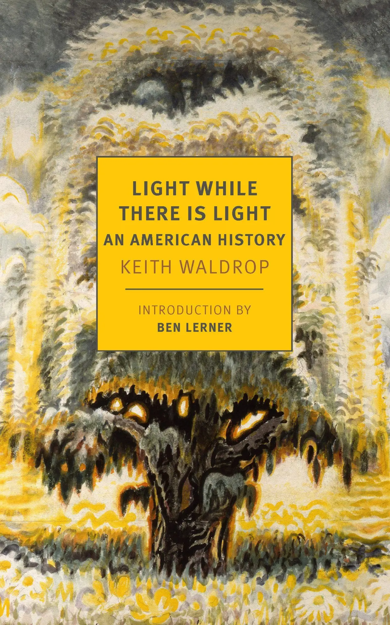 Cover: 9798896230366 | Light While There is Light | An American History | Ben Lerner (u. a.)