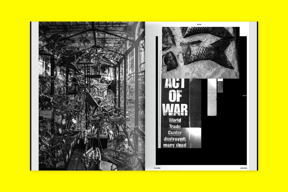 Bild: 9783948440466 | Collision | Lars Harmsen | Taschenbuch | 320 S. | Englisch | 2023