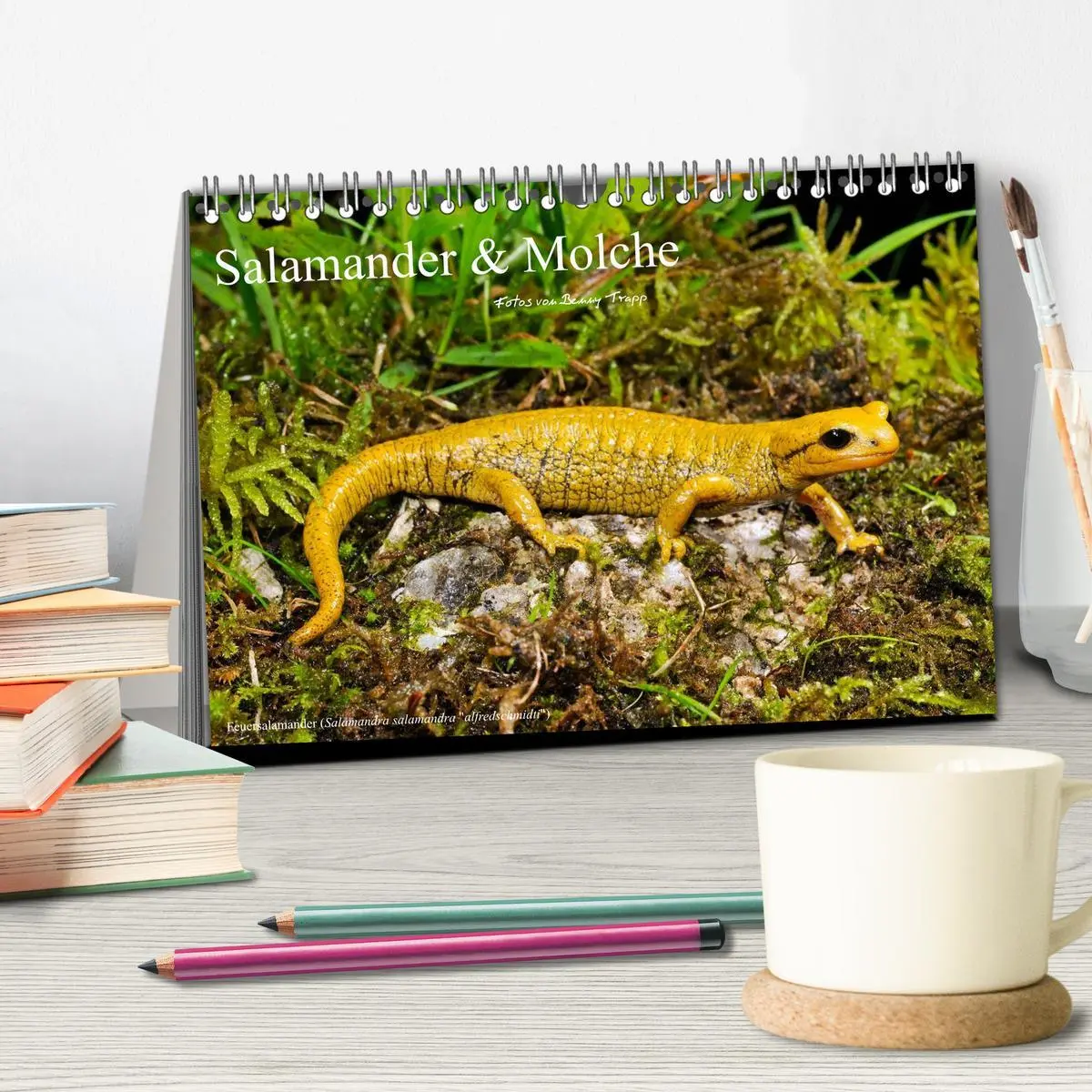 Bild: 9783516170566 | Salamander und Molche (Tischkalender 2026 DIN A5 quer), CALVENDO...