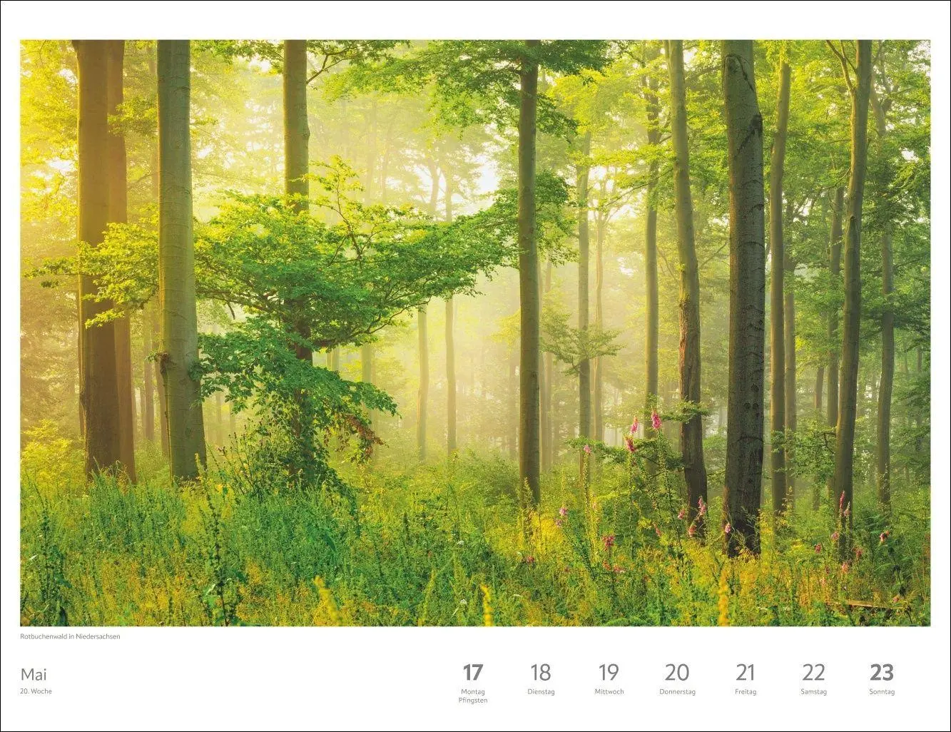 Bild: 9783840040566 | Zauber der Jahreszeiten Großer Wochenkalender 2027 - Jede Woche ein...