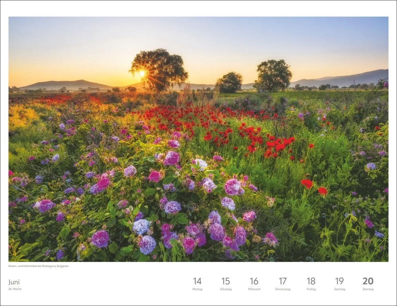 Bild: 9783840040566 | Zauber der Jahreszeiten Großer Wochenkalender 2027 - Jede Woche ein...