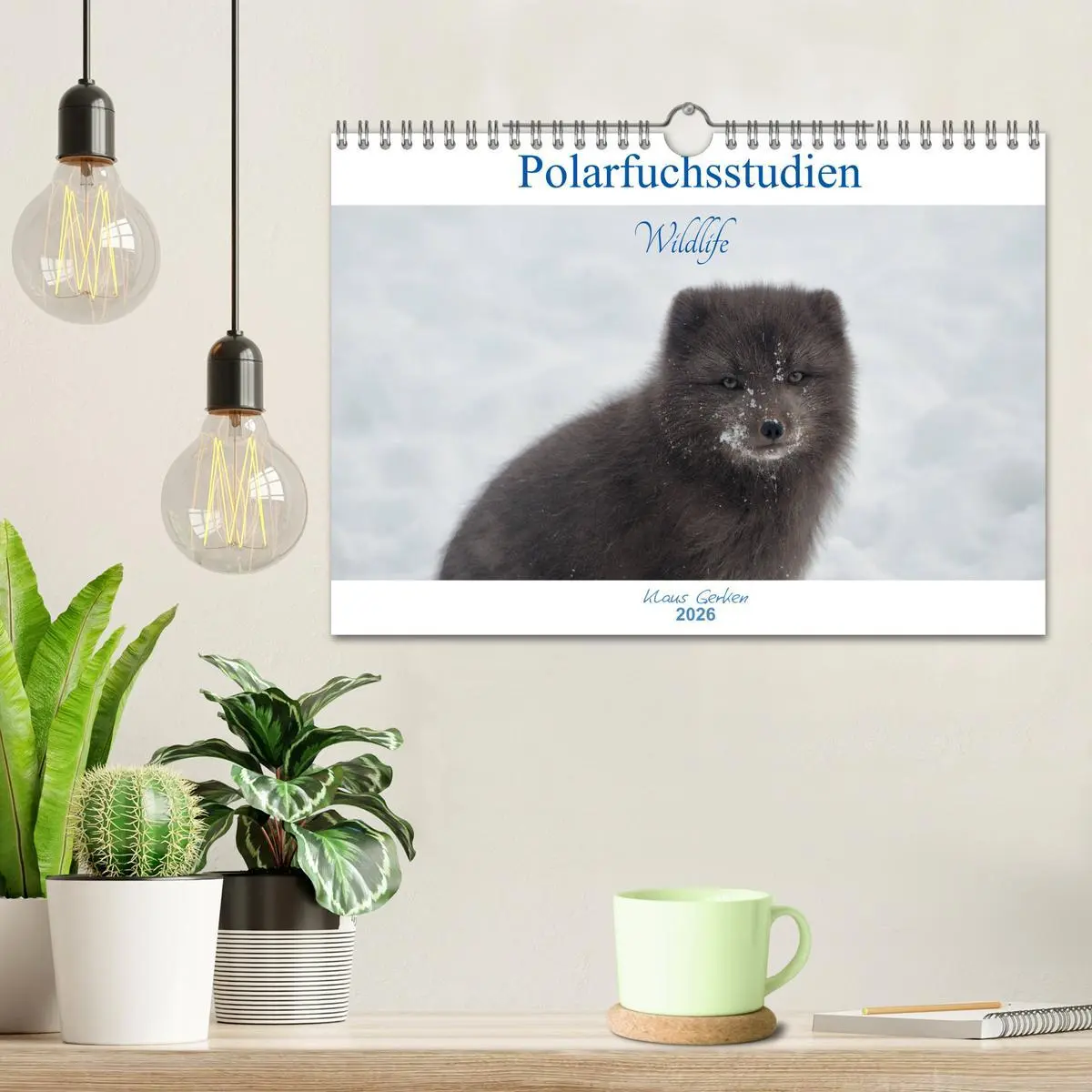 Bild: 9783457900666 | Polarfuchsstudien Wildlife (Wandkalender 2026 DIN A4 quer),...