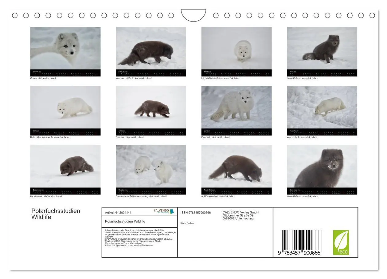 Bild: 9783457900666 | Polarfuchsstudien Wildlife (Wandkalender 2026 DIN A4 quer),...