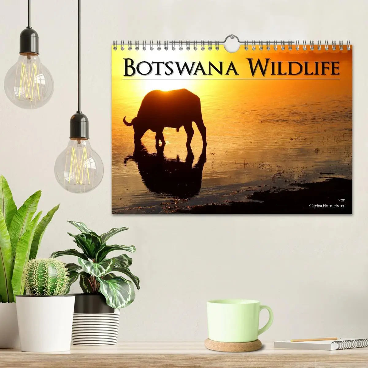 Bild: 9783516160666 | Botswana Wildlife (Wandkalender 2026 DIN A4 quer), CALVENDO...