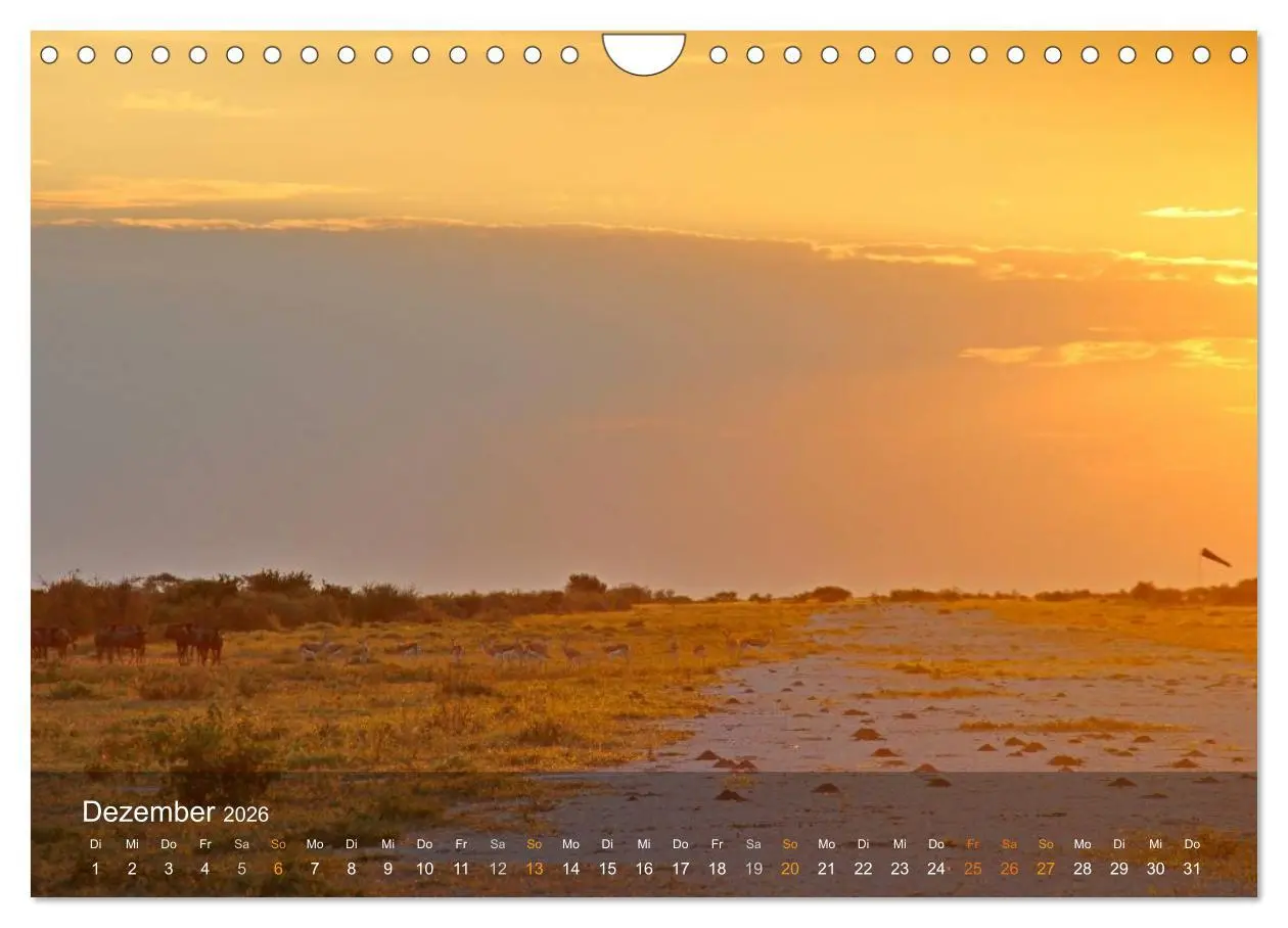 Bild: 9783516160666 | Botswana Wildlife (Wandkalender 2026 DIN A4 quer), CALVENDO...