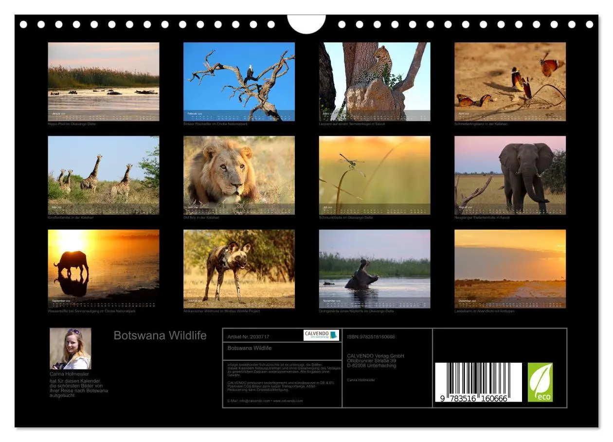 Bild: 9783516160666 | Botswana Wildlife (Wandkalender 2026 DIN A4 quer), CALVENDO...