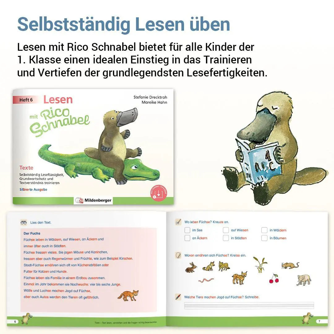 Bild: 9783619120666 | Lesen mit Rico Schnabel, Heft 6: Texte - silbierte Ausgabe | Broschüre