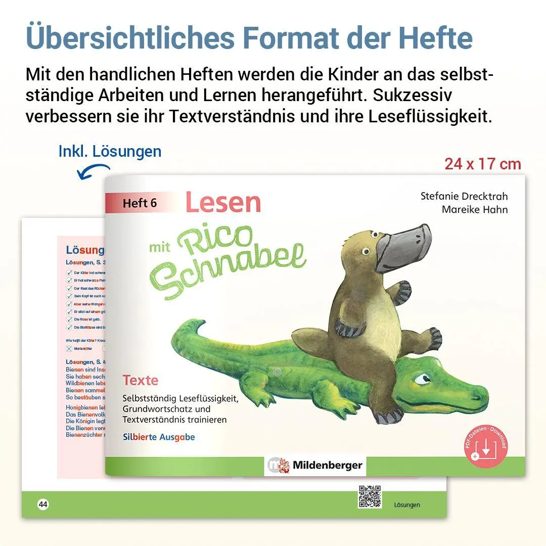 Bild: 9783619120666 | Lesen mit Rico Schnabel, Heft 6: Texte - silbierte Ausgabe | Broschüre