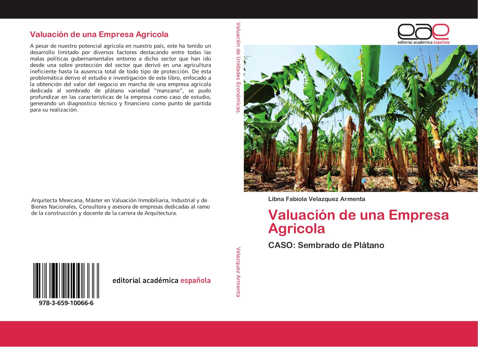 Cover: 9783659100666 | Valuación de una Empresa Agricola | CASO: Sembrado de Plátano | Buch