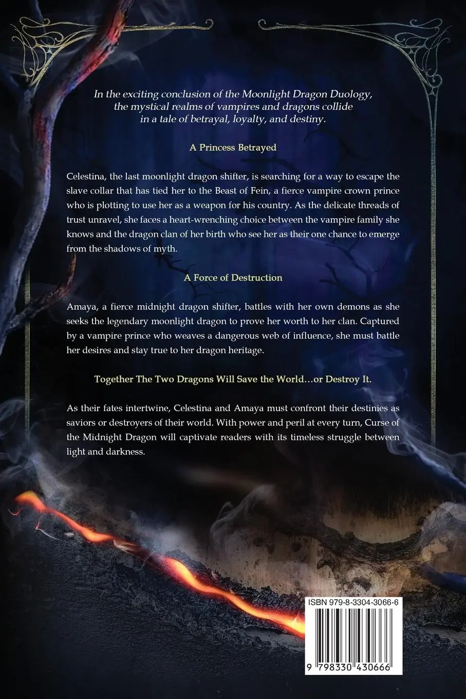 Rückseite: 9798330430666 | Curse of the Midnight Dragon | Dorothy McFalls | Taschenbuch | 2024