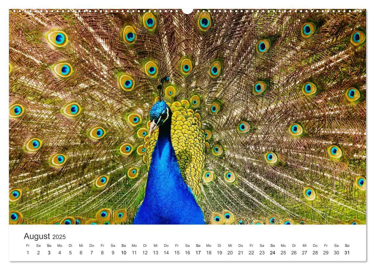 Bild: 9783435040766 | Vogelwelt - Die Könige der Lüfte. (Wandkalender 2025 DIN A2 quer),...