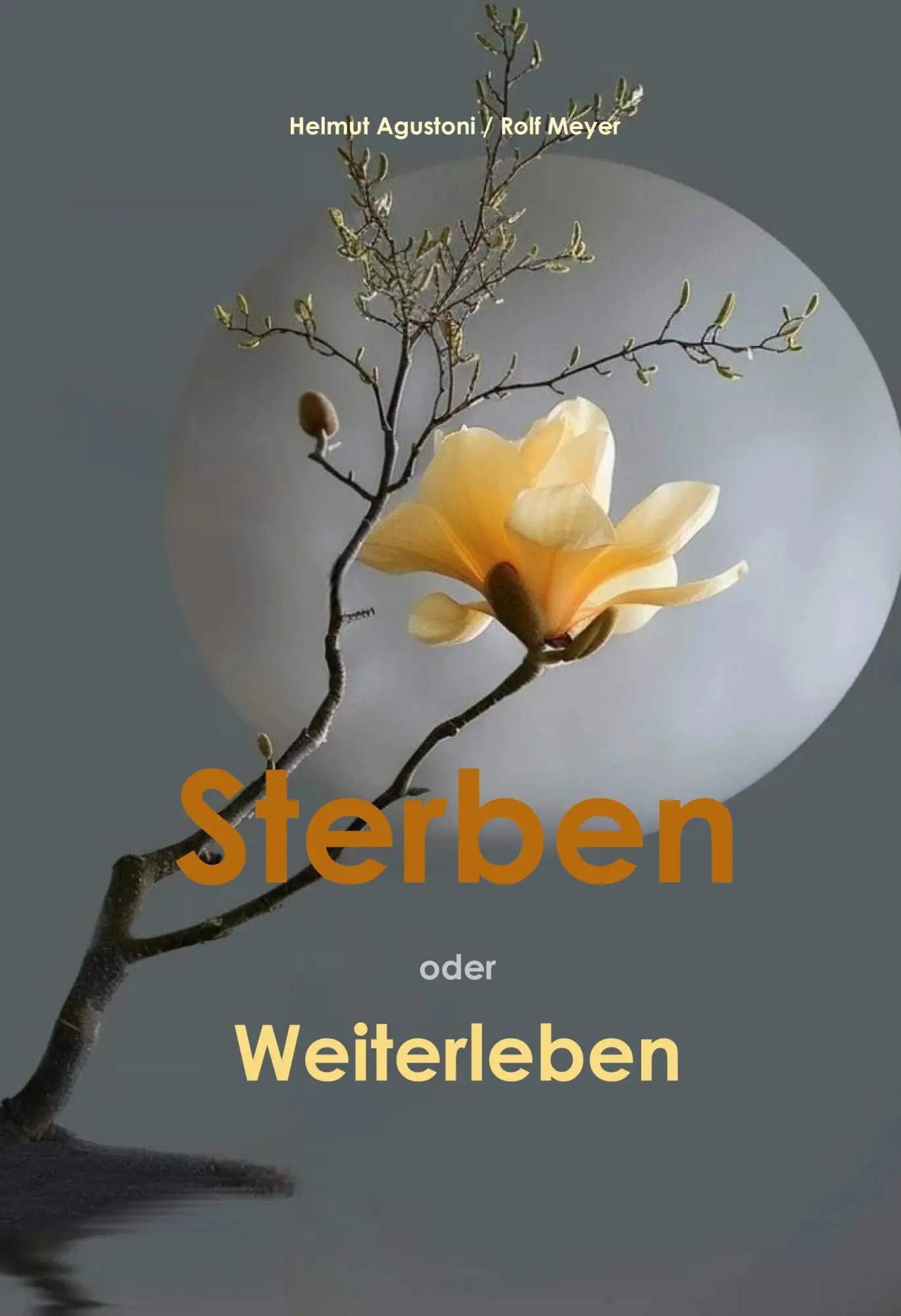 Cover: 9783695110766 | Sterben oder Weiterleben | Helmut Agustoni (u. a.) | Buch | 148 S.