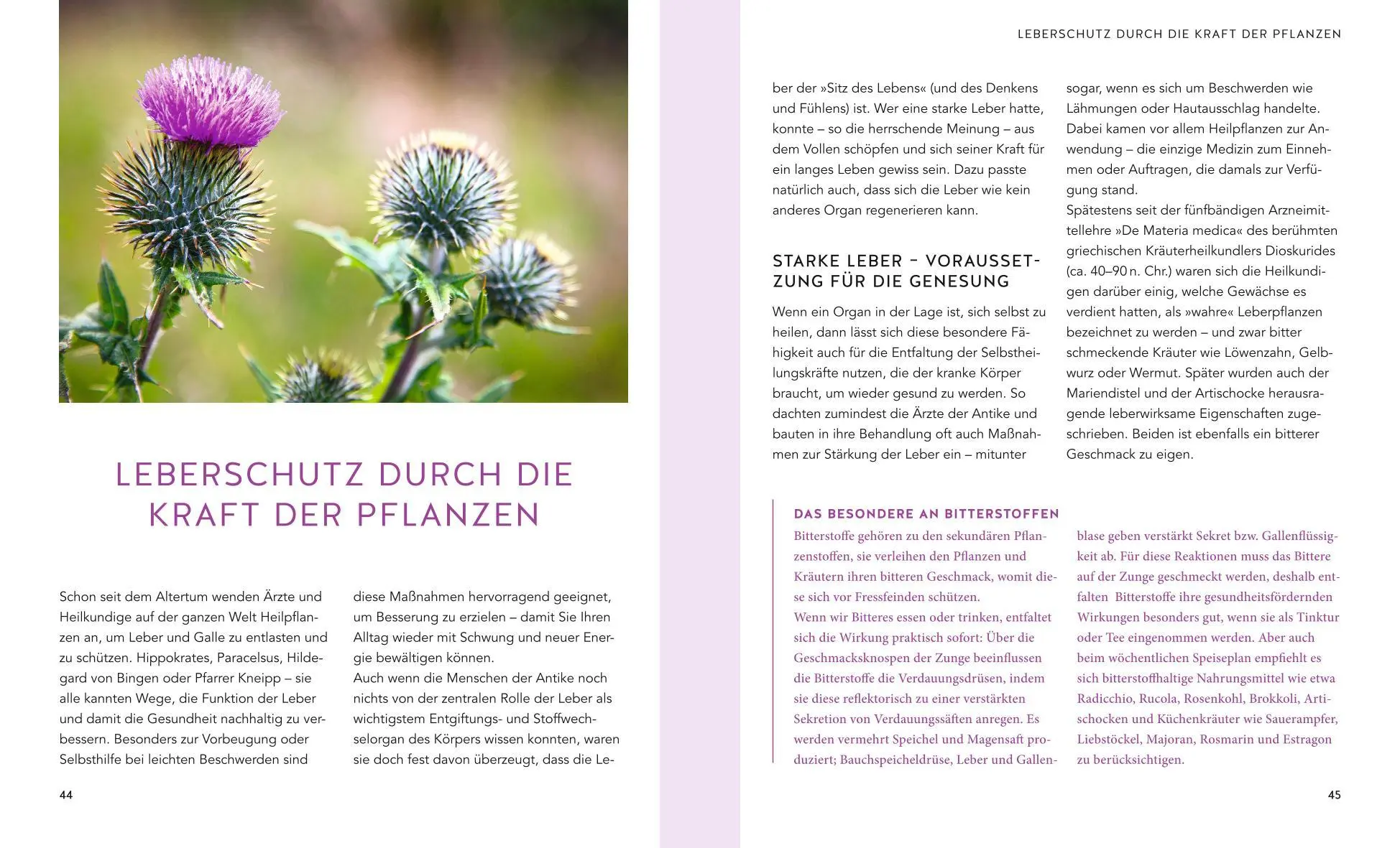 Bild: 9783833870866 | Leber &amp; Galle entgiften und natürlich stärken | Nicole Schaenzler