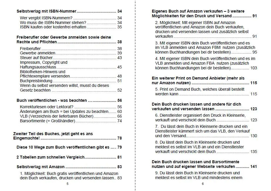 Bild: 9783967380866 | Buch veröffentlichen mit Köpfchen | Angelina Schulze | Taschenbuch