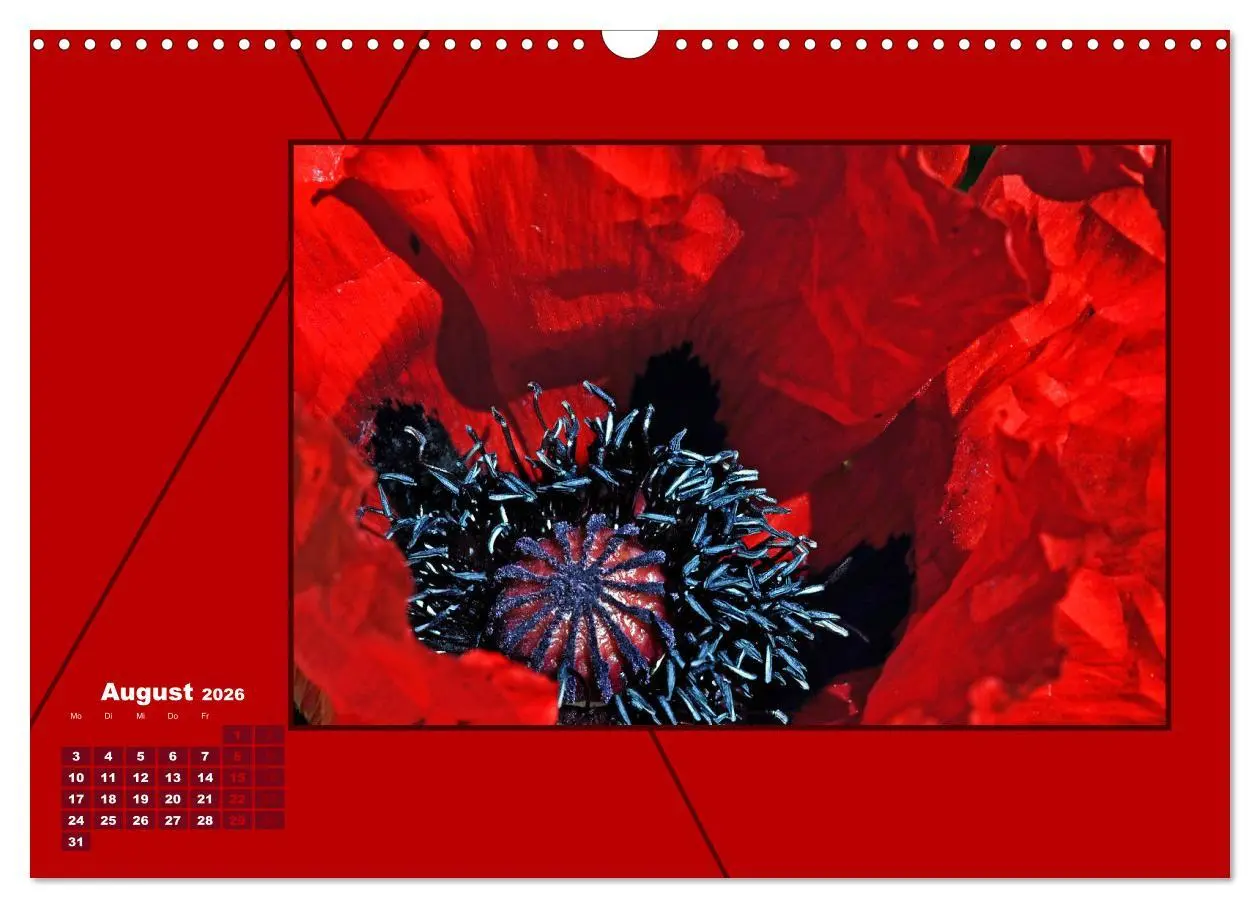 Bild: 9783457800966 | Powerfarbe Rot (Wandkalender 2026 DIN A3 quer), CALVENDO...