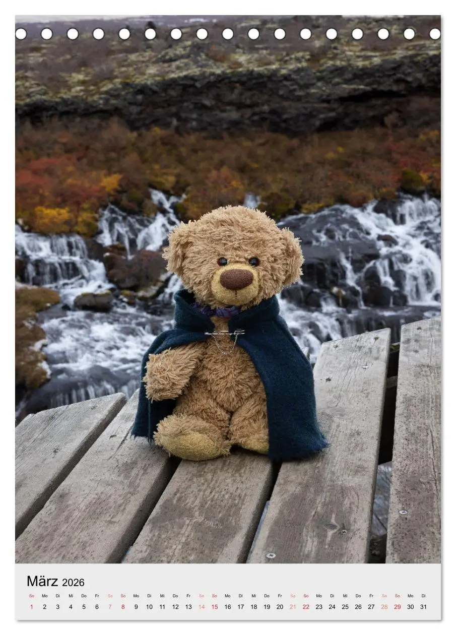 Bild: 9783516370966 | Travelling Teddy in Island (Tischkalender 2026 DIN A5 hoch),...