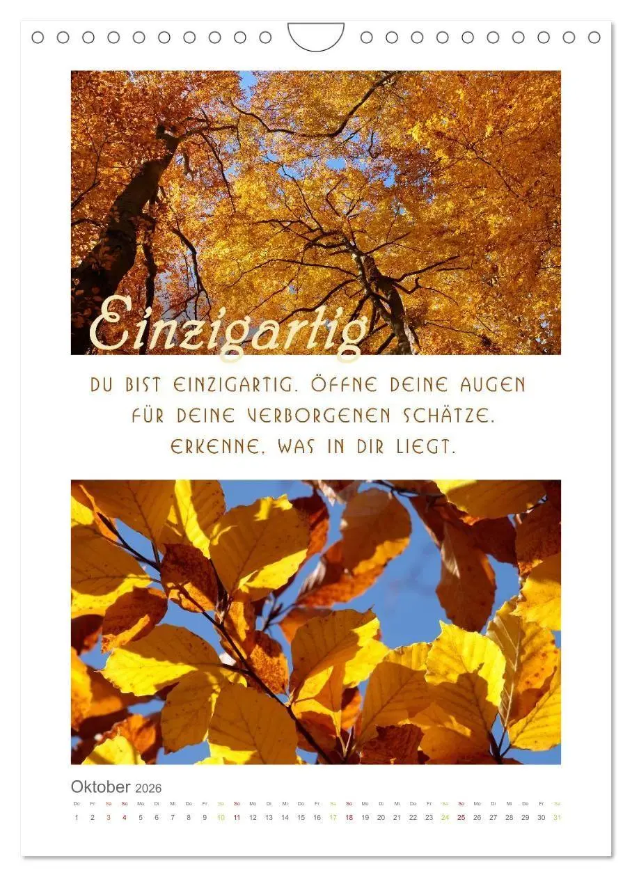Bild: 9783516680966 | Quellen der Inspiration (Wandkalender 2026 DIN A4 hoch), CALVENDO...