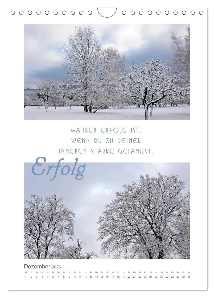 Bild: 9783516680966 | Quellen der Inspiration (Wandkalender 2026 DIN A4 hoch), CALVENDO...