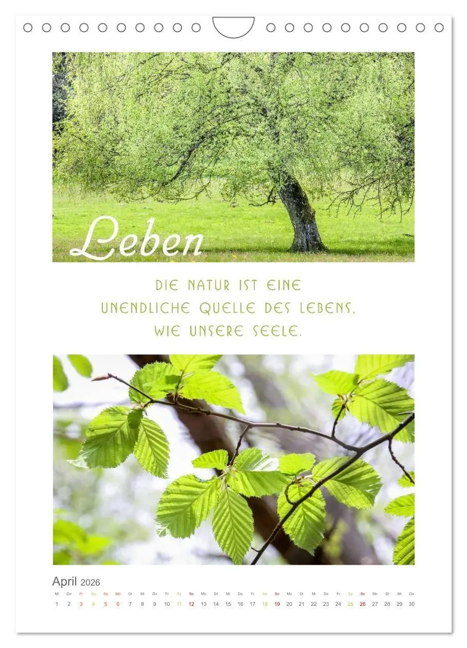 Bild: 9783516680966 | Quellen der Inspiration (Wandkalender 2026 DIN A4 hoch), CALVENDO...