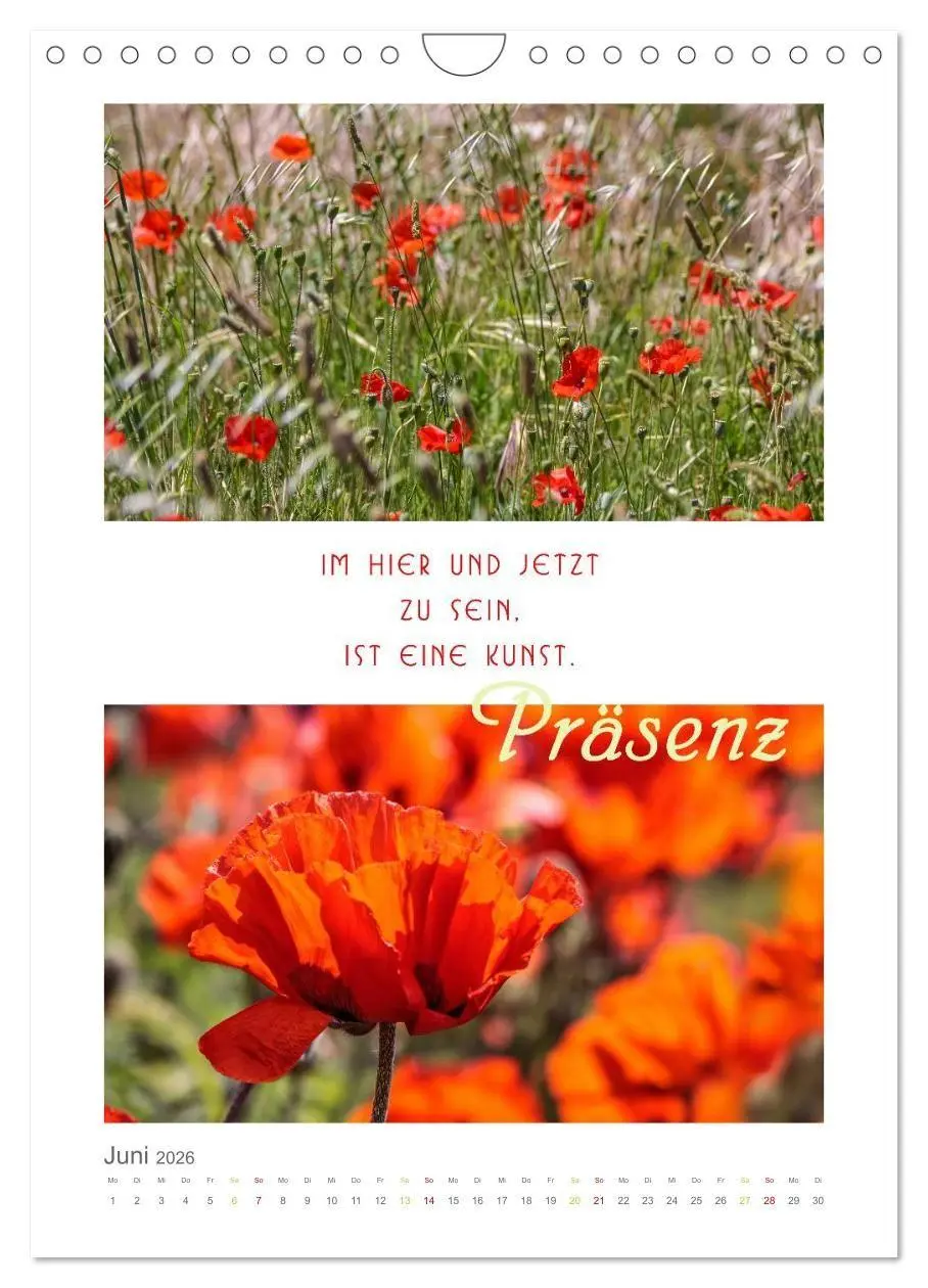 Bild: 9783516680966 | Quellen der Inspiration (Wandkalender 2026 DIN A4 hoch), CALVENDO...
