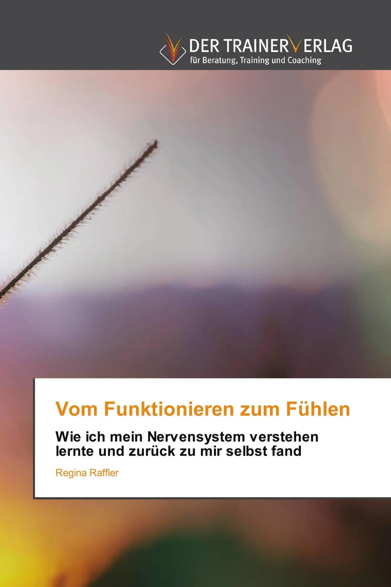 Cover: 9786209790966 | Vom Funktionieren zum Fühlen | Regina Raffler | Taschenbuch | 128 S.