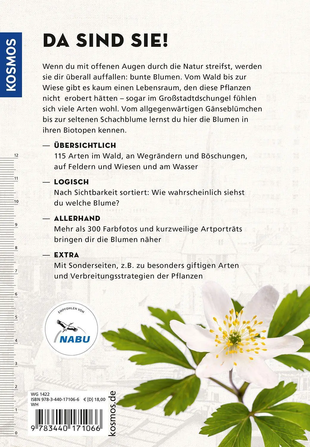 Bild: 9783440171066 | Die siehst du - Blumen | Eva-Maria Dreyer | Taschenbuch | 192 S.