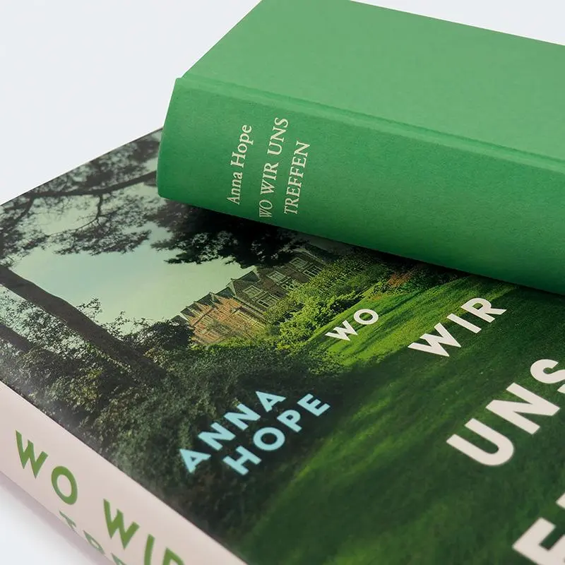 Bild: 9783446281066 | Wo wir uns treffen | Roman | Anna Hope | Buch | 448 S. | Deutsch