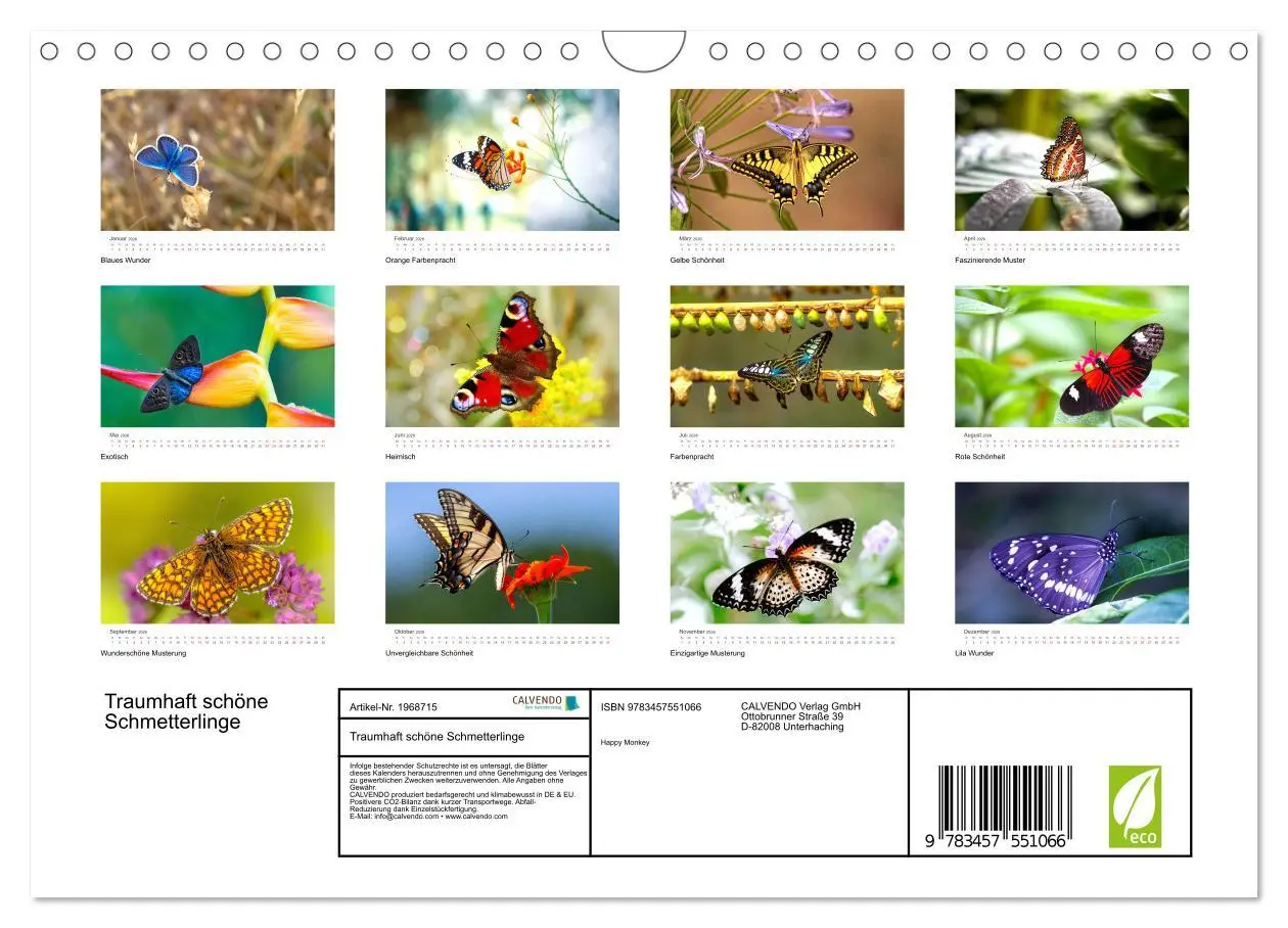 Bild: 9783457551066 | Traumhaft schöne Schmetterlinge (Wandkalender 2026 DIN A4 quer),...