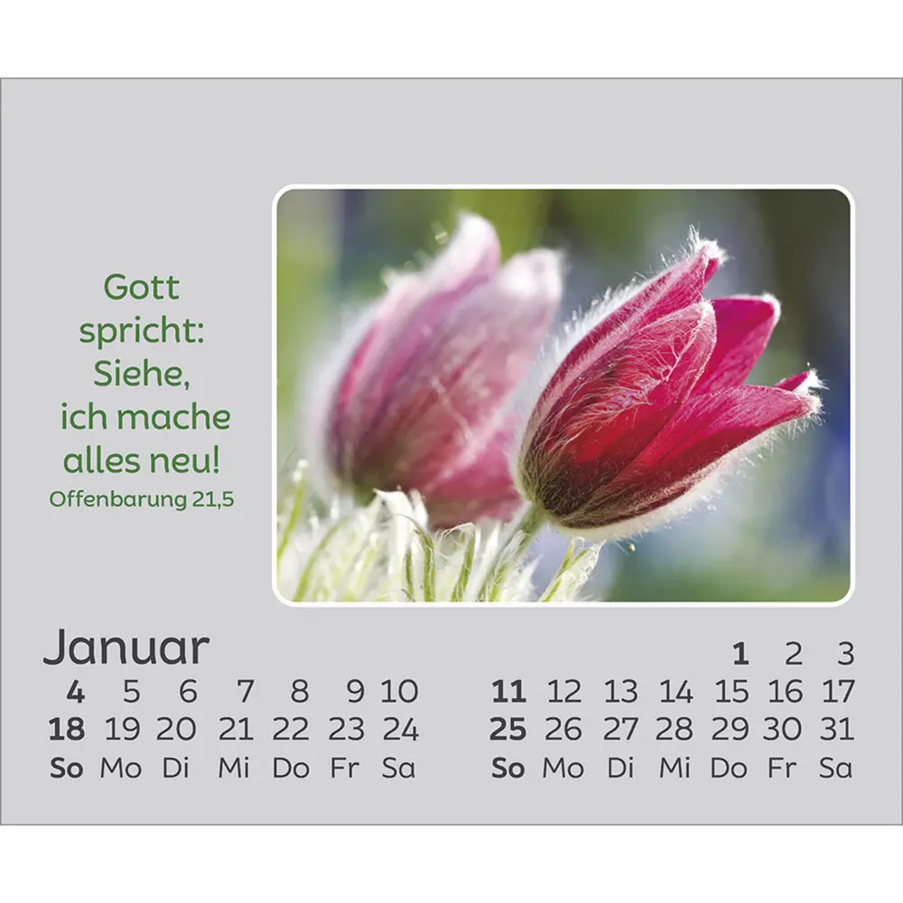 Bild: 9783754861066 | Freude für jeden Tag 2026 | Kalender | Spiralbindung | 14 S. | Deutsch