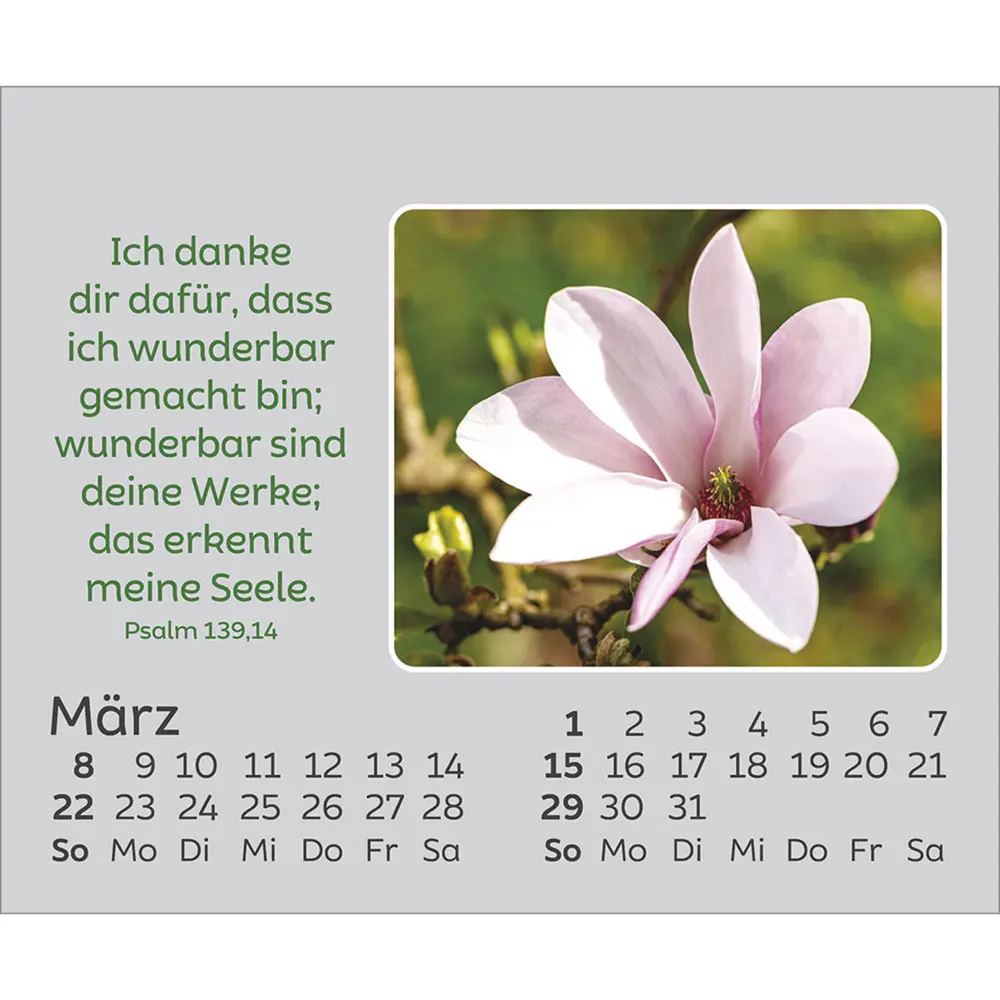 Bild: 9783754861066 | Freude für jeden Tag 2026 | Kalender | Spiralbindung | 14 S. | Deutsch