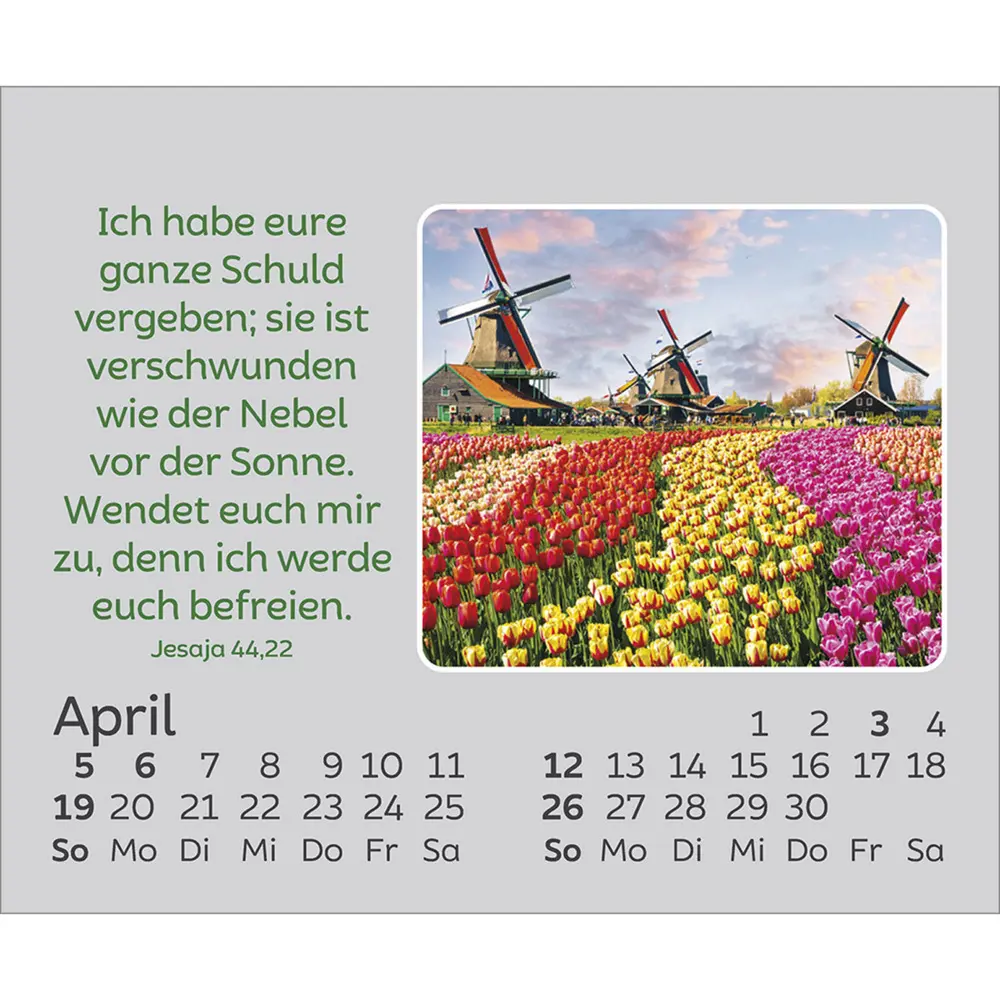 Bild: 9783754861066 | Freude für jeden Tag 2026 | Kalender | Spiralbindung | 14 S. | Deutsch