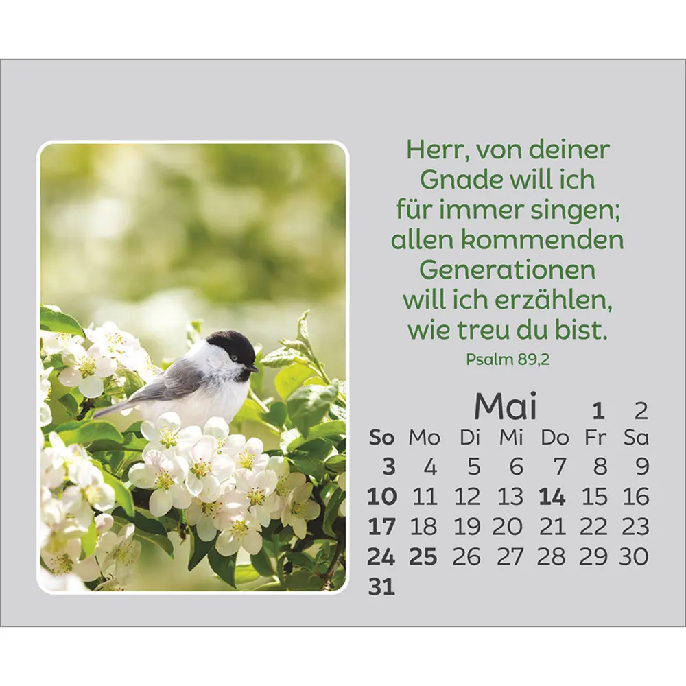 Bild: 9783754861066 | Freude für jeden Tag 2026 | Kalender | Spiralbindung | 14 S. | Deutsch
