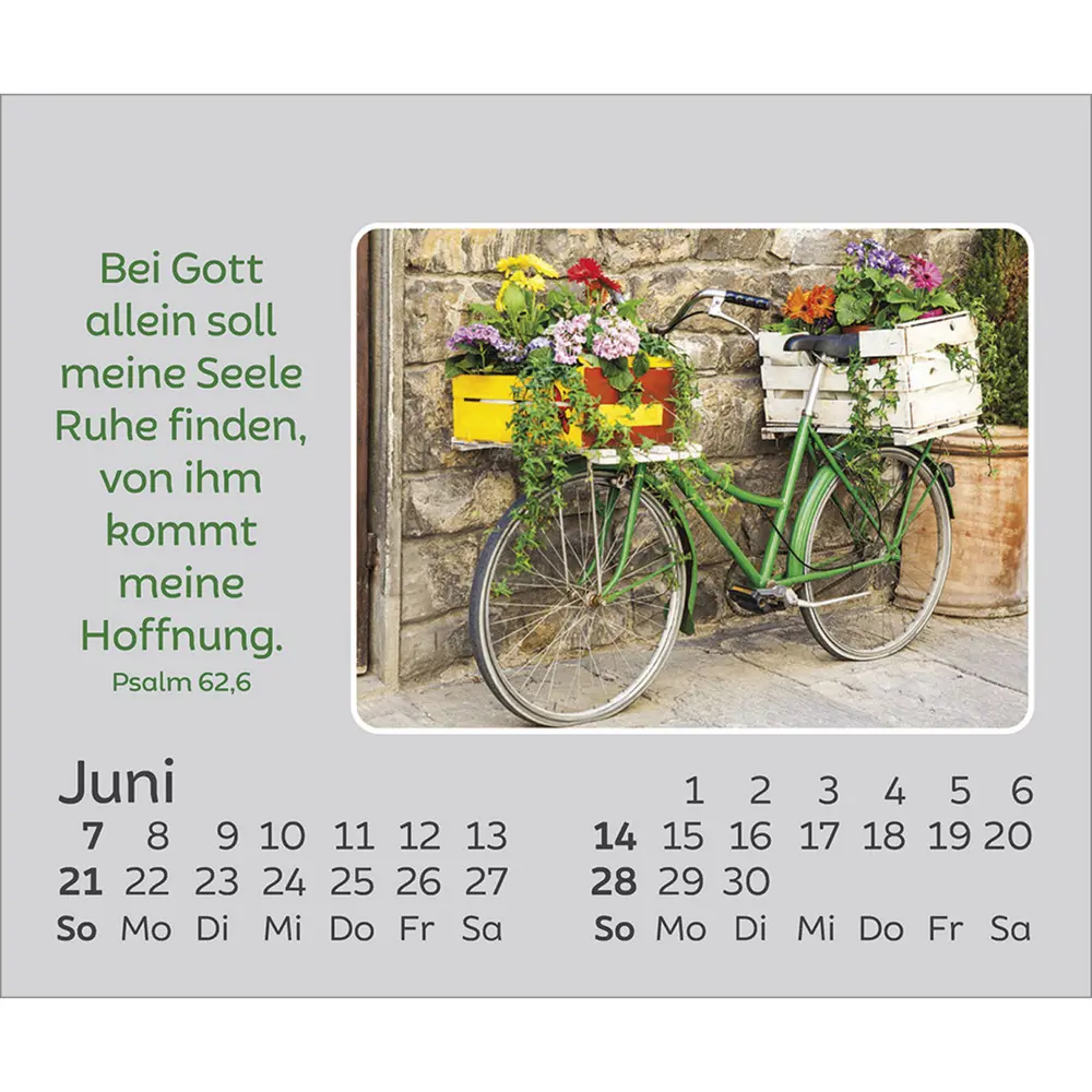 Bild: 9783754861066 | Freude für jeden Tag 2026 | Kalender | Spiralbindung | 14 S. | Deutsch