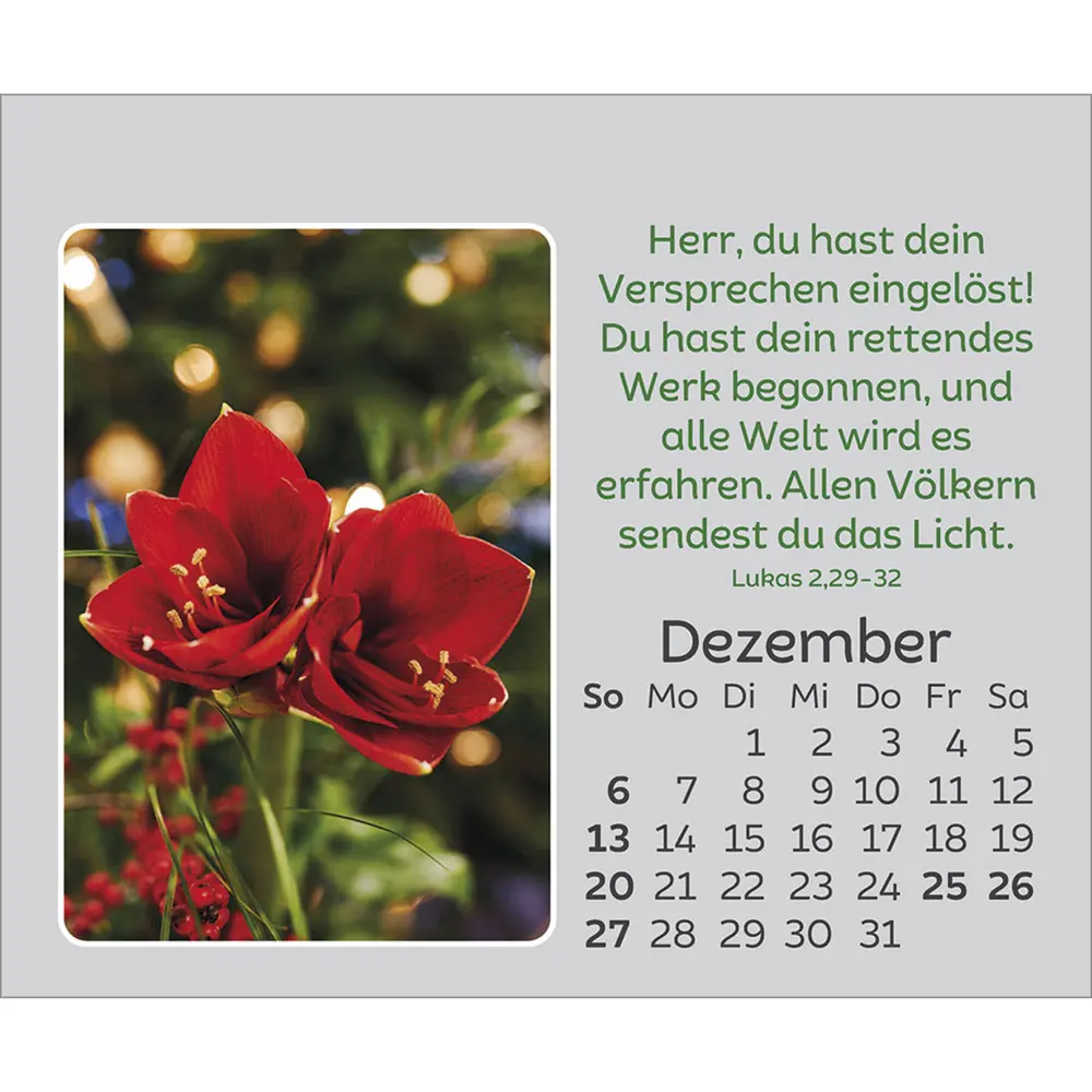 Bild: 9783754861066 | Freude für jeden Tag 2026 | Kalender | Spiralbindung | 14 S. | Deutsch