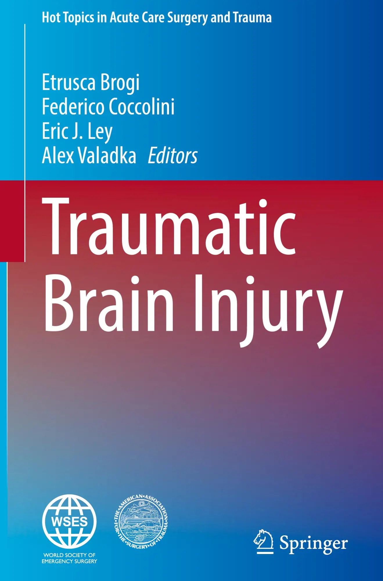 Cover: 9783031501166 | Traumatic Brain Injury | Etrusca Brogi (u. a.) | Buch | ix | Englisch