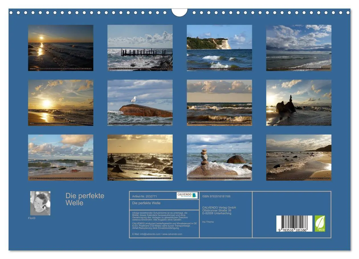 Bild: 9783516181166 | Die perfekte Welle (Wandkalender 2026 DIN A3 quer), CALVENDO...