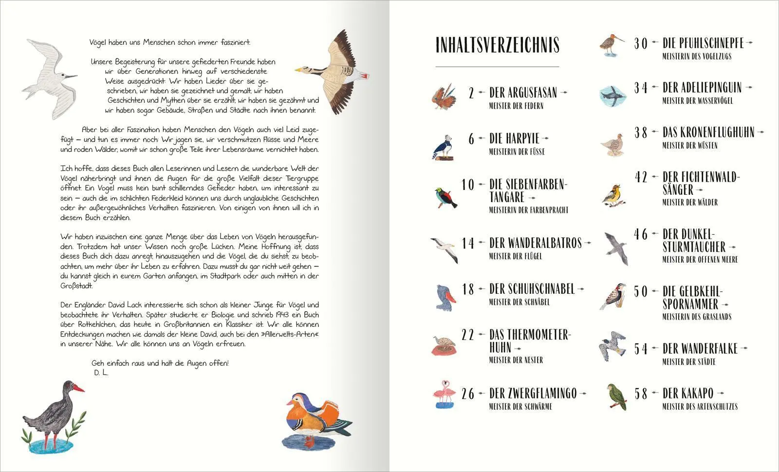 Rückseite: 9783845861166 | Vögel | David Lindo | Buch | 64 S. | Deutsch | 2025 | arsEdition GmbH