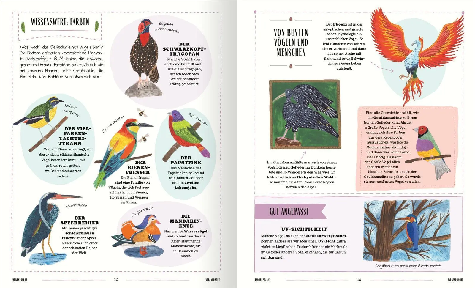 Bild: 9783845861166 | Vögel | David Lindo | Buch | 64 S. | Deutsch | 2025 | arsEdition GmbH