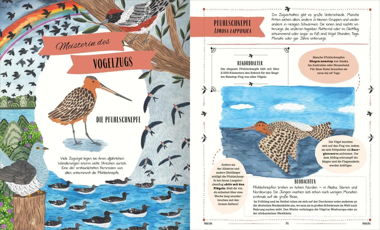 Bild: 9783845861166 | Vögel | David Lindo | Buch | 64 S. | Deutsch | 2025 | arsEdition GmbH