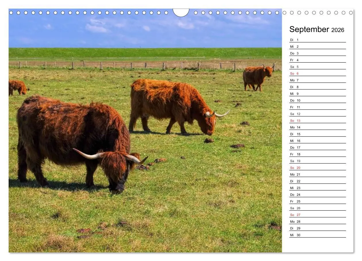 Bild: 9783516001266 | Langeoog - Schönste Insel Ostfrieslands (Wandkalender 2026 DIN A3...