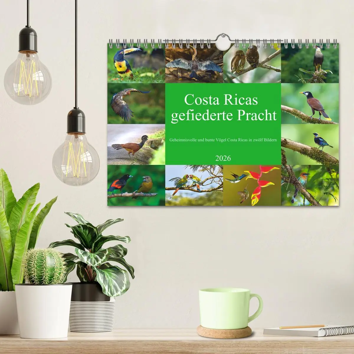 Bild: 9783516621266 | Costa Ricas gefiederte Pracht (Wandkalender 2026 DIN A4 quer),...