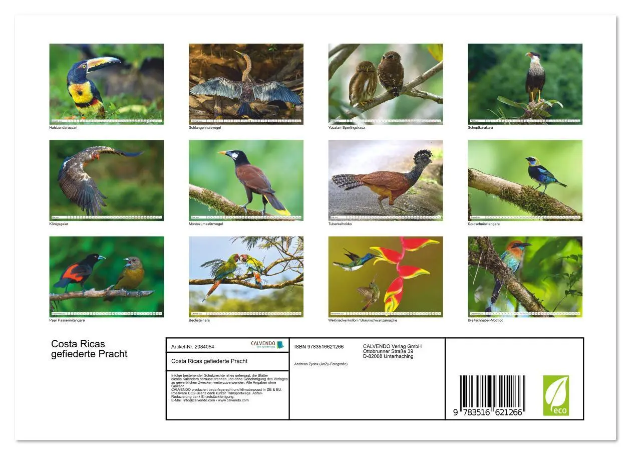 Bild: 9783516621266 | Costa Ricas gefiederte Pracht (Wandkalender 2026 DIN A4 quer),...