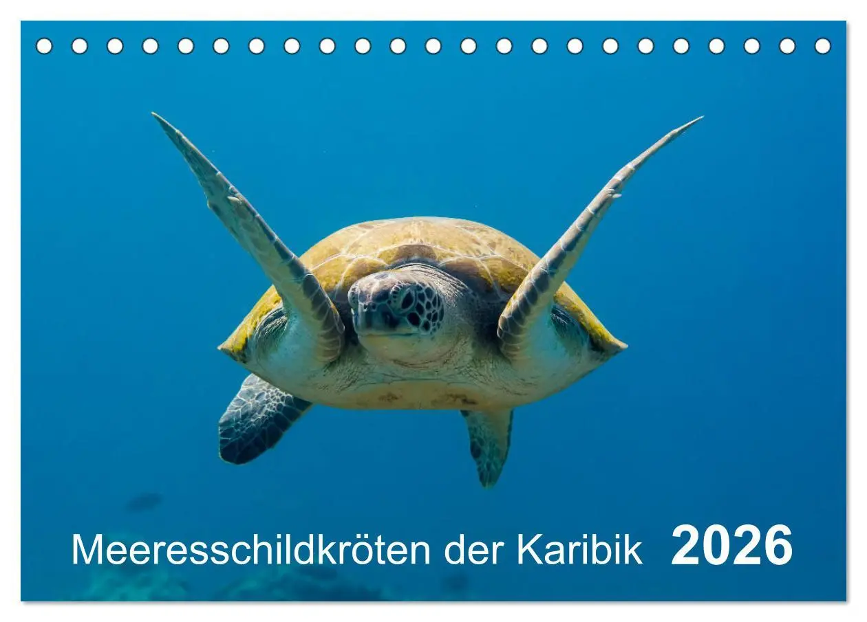Cover: 9783457761366 | Meeresschildkröten der Karibik (Tischkalender 2026 DIN A5 quer),...